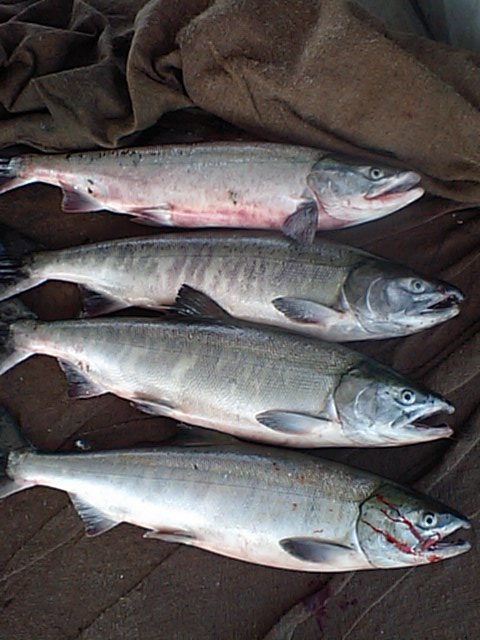f0020302_19204964.jpg