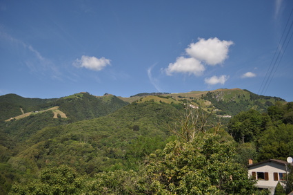 d0179006_20275075.jpg