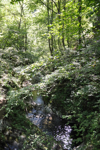 d0179006_20323421.jpg