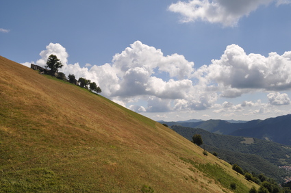 d0179006_2059948.jpg