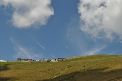 d0179006_21105798.jpg