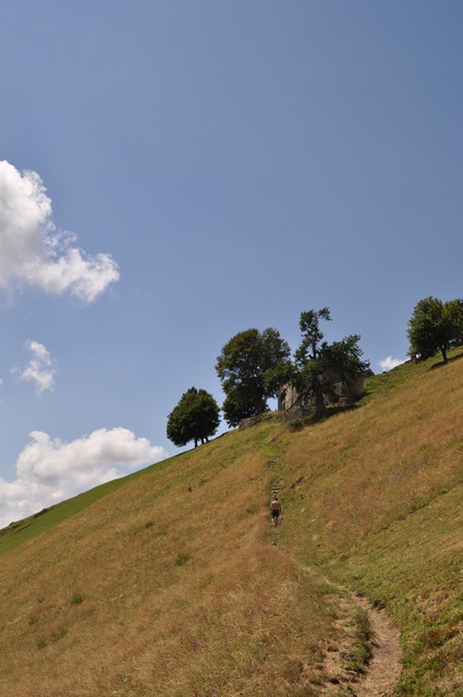 d0179006_2125112.jpg