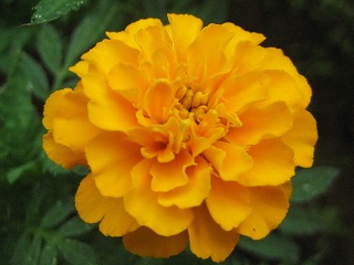 f0077807_18132698.jpg