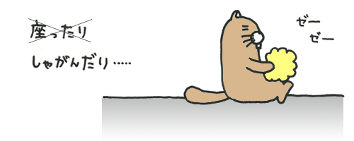 20100816-3.gif