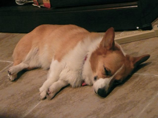 f0227709_242734.jpg
