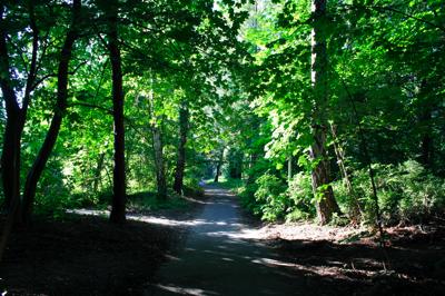e0038811_46220.jpg