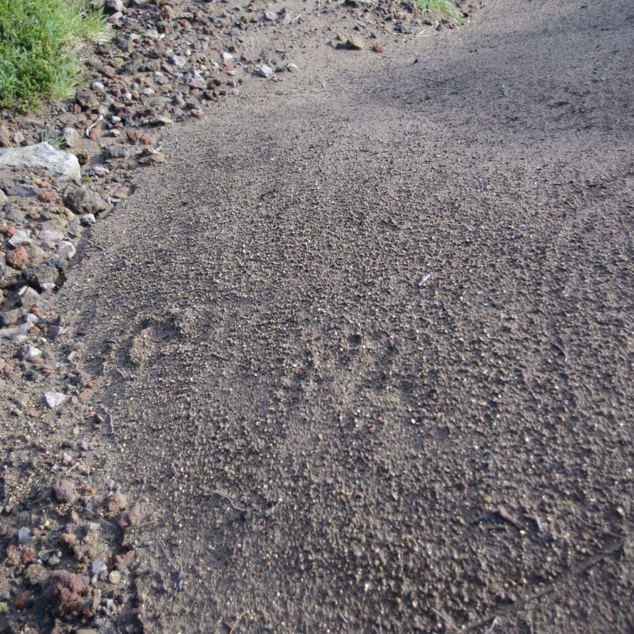 e0142611_2102663.jpg