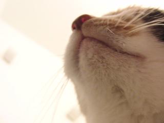 c0201113_218865.jpg