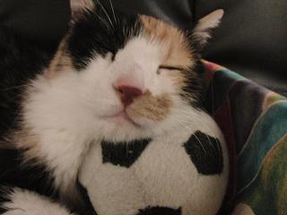 c0201113_2193242.jpg