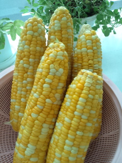 d0169613_19133049.jpg