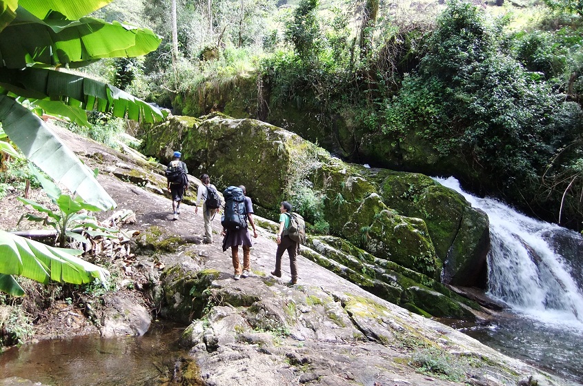 c0221417_1755681.jpg