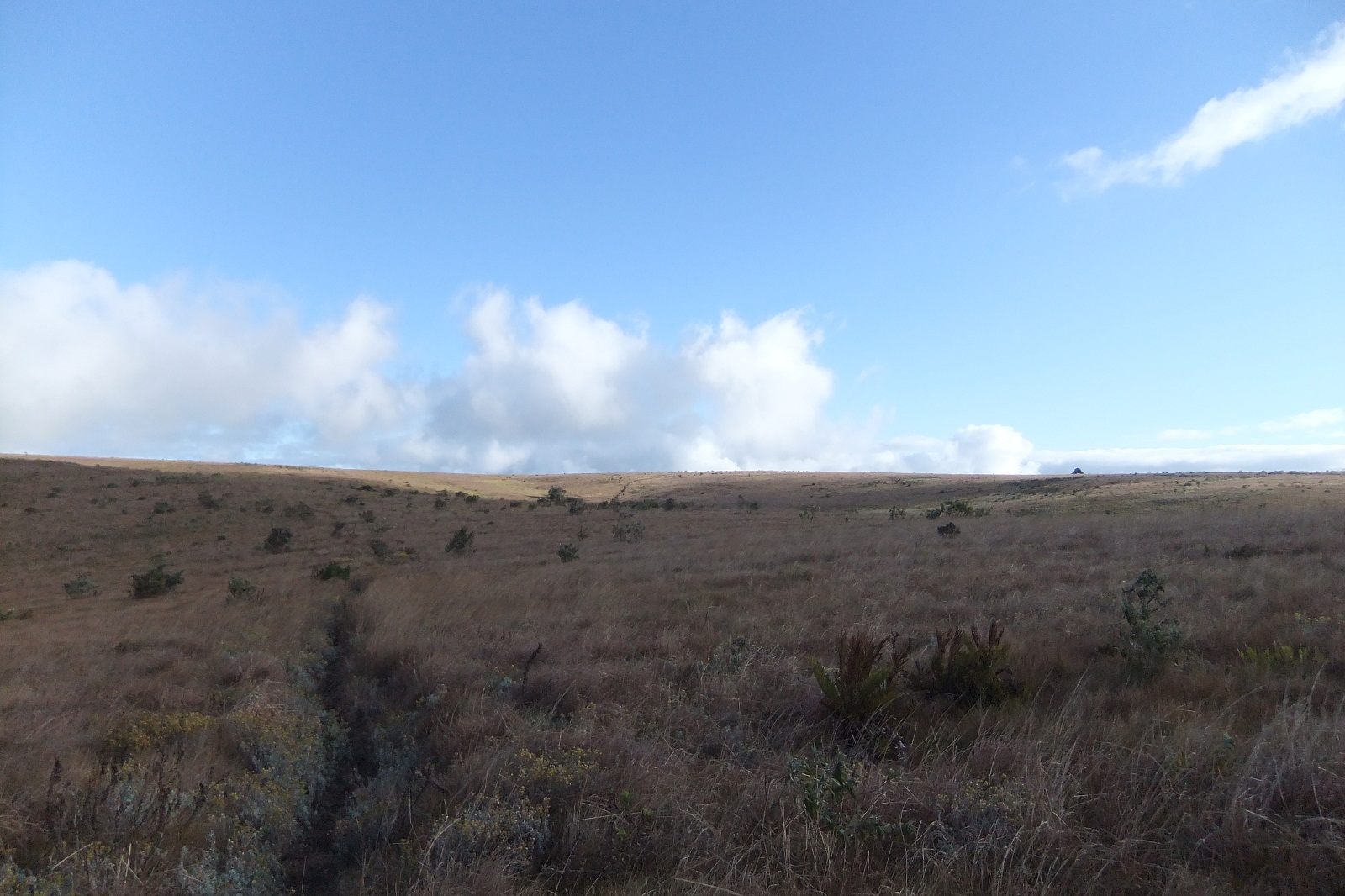 c0221417_182454.jpg