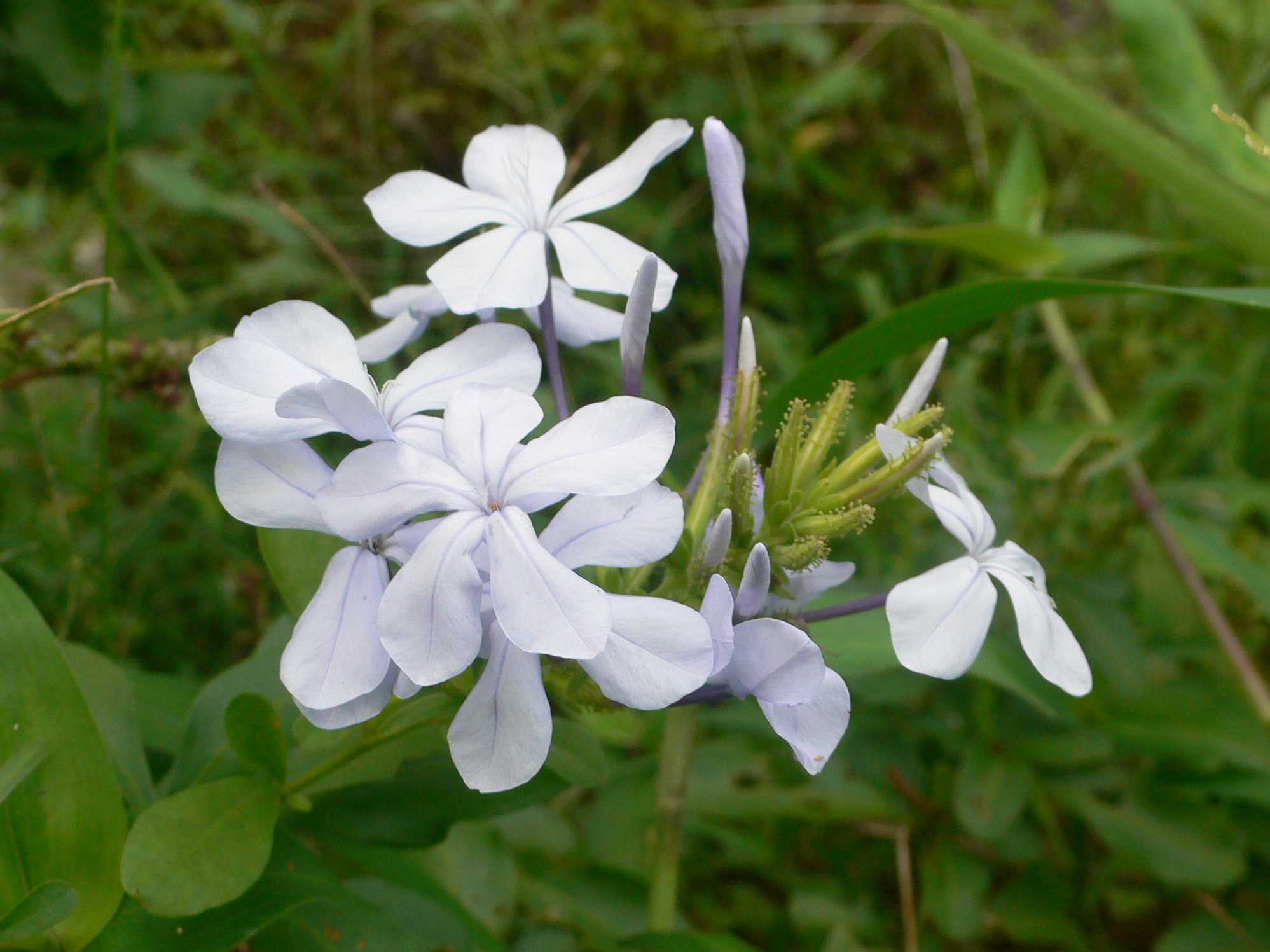 f0060424_14281550.jpg