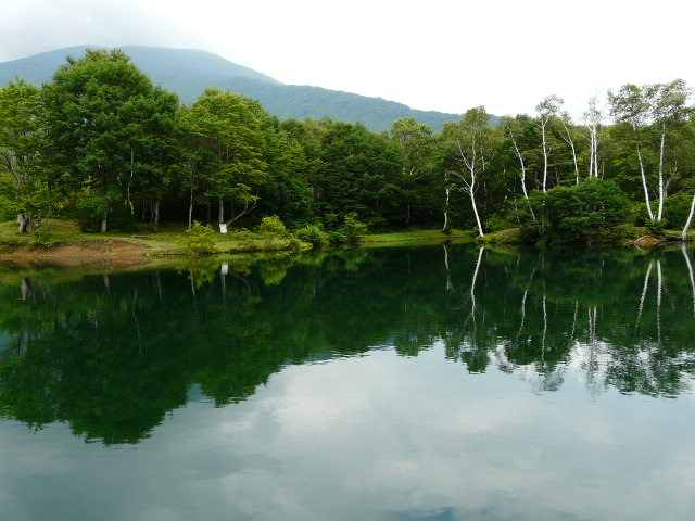 e0147226_23595441.jpg
