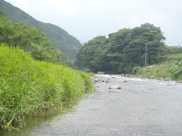 f0103126_2275150.jpg