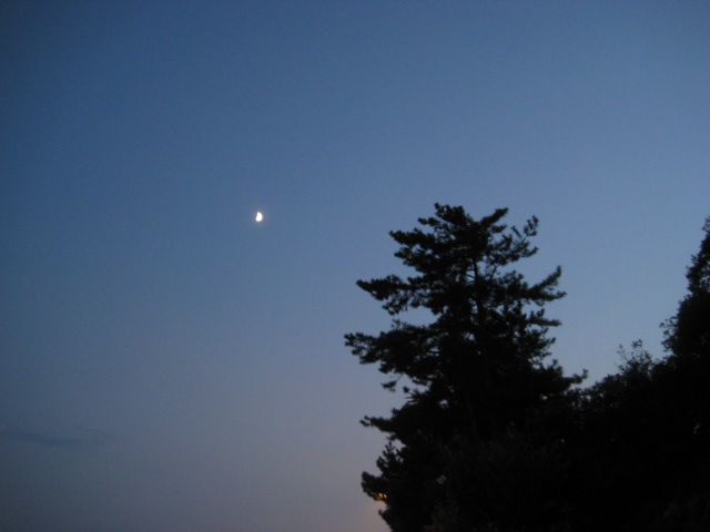 d0147727_20415871.jpg