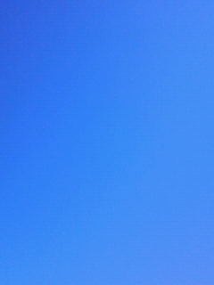 c0198930_22352374.jpg
