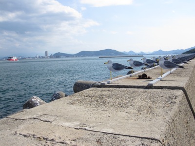 e0187631_155218.jpg
