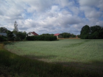 a0140936_40082.jpg