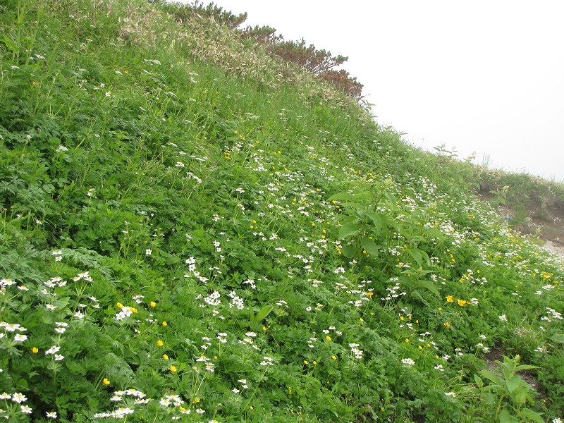 b0097836_13132149.jpg