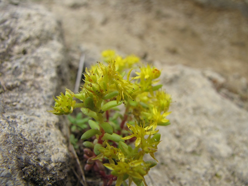 b0097836_13291744.jpg