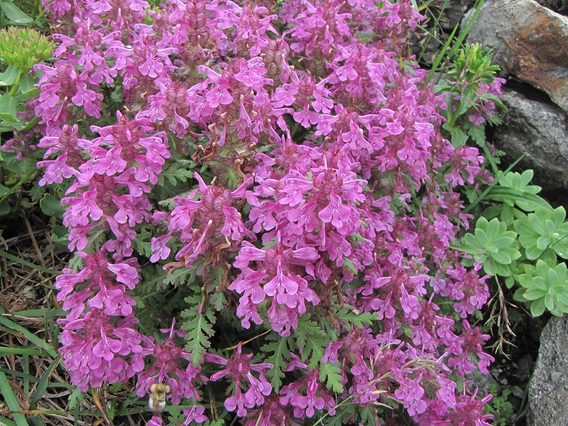 b0097836_13475378.jpg