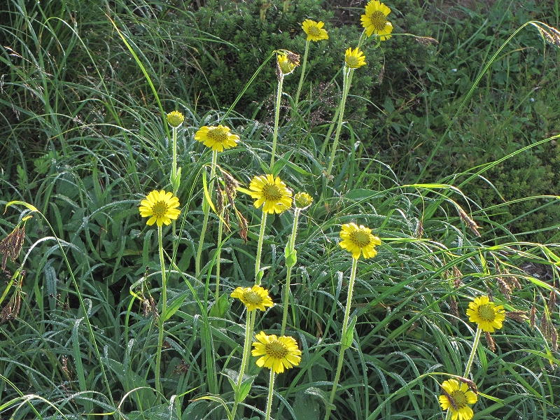 b0097836_1350894.jpg