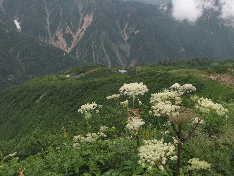 b0097836_15144650.jpg
