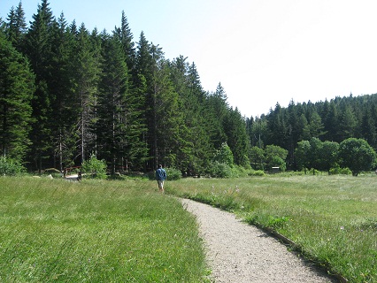 f0234936_0432990.jpg