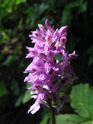 f0234936_0441656.jpg