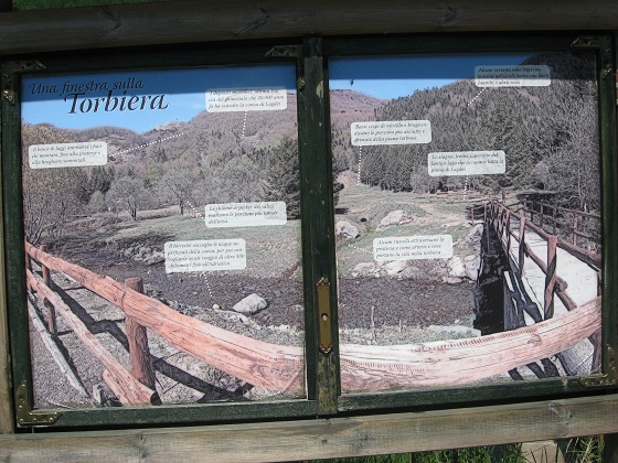 f0234936_0461523.jpg