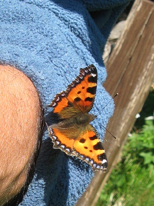 f0234936_0472342.jpg