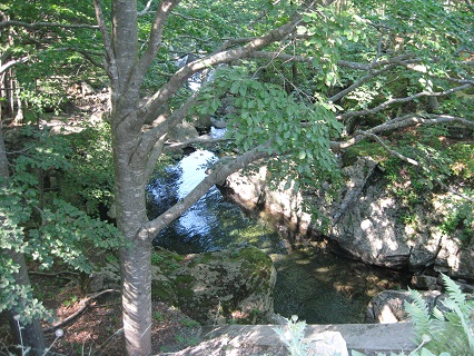 f0234936_047462.jpg