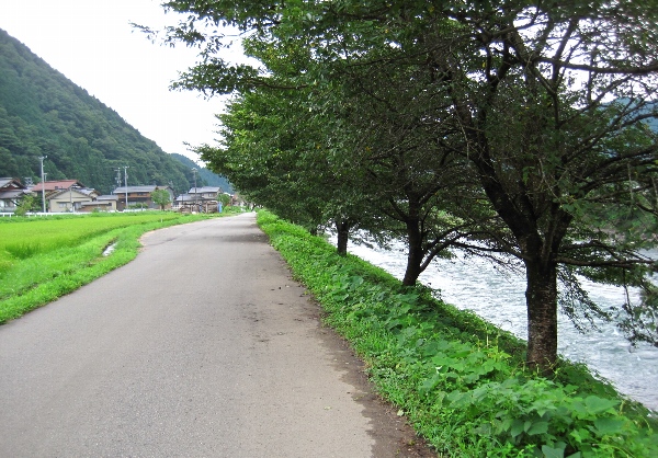 b0149340_20202922.jpg