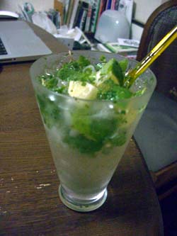e0110940_1334495.jpg