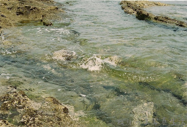 a0009142_19382816.jpg