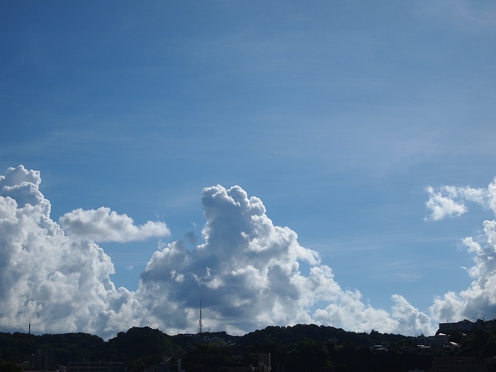 a0146442_941175.jpg