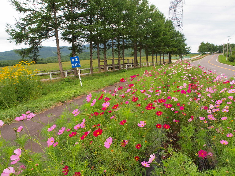 a0106043_12433280.jpg