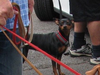 e0150843_16412087.jpg