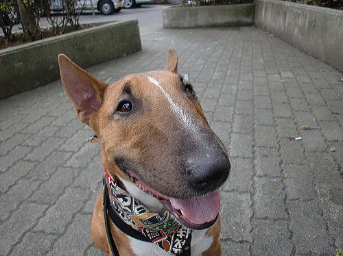 f0094843_2313649.jpg