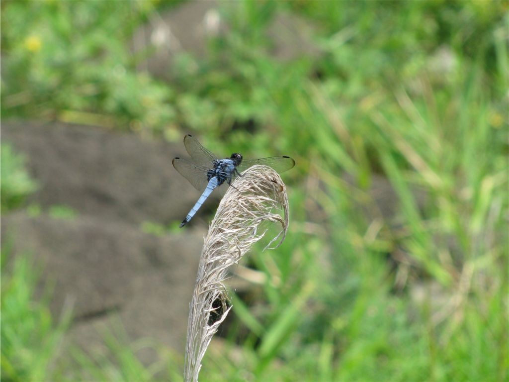 f0151044_21485120.jpg
