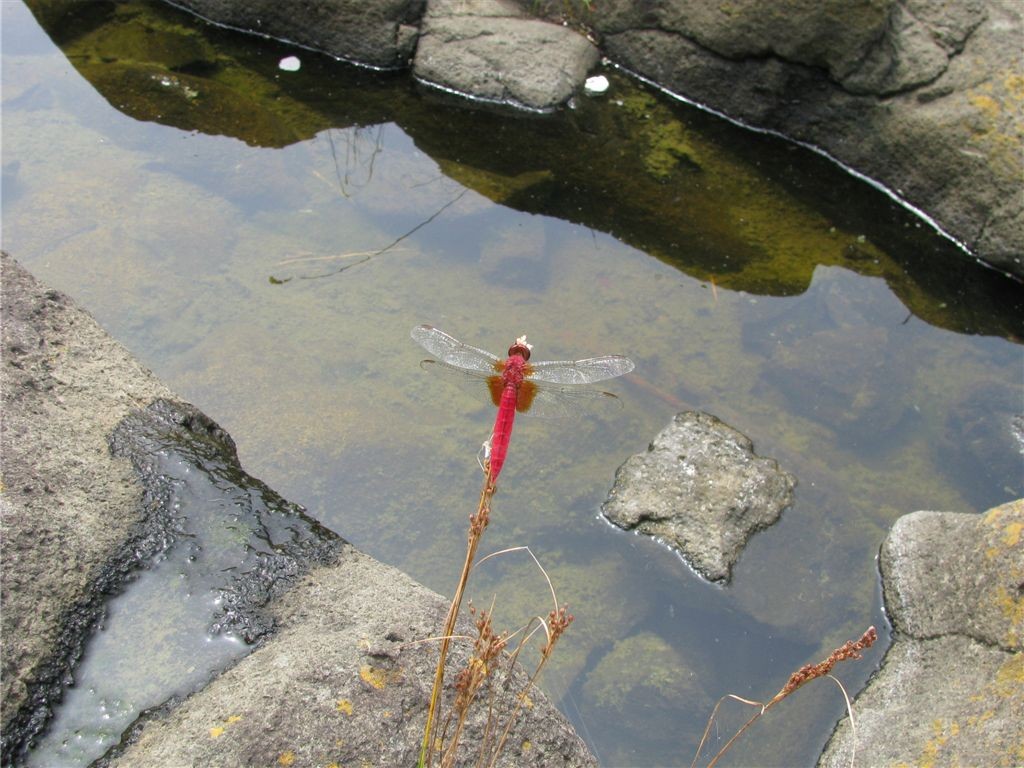 f0151044_21501735.jpg