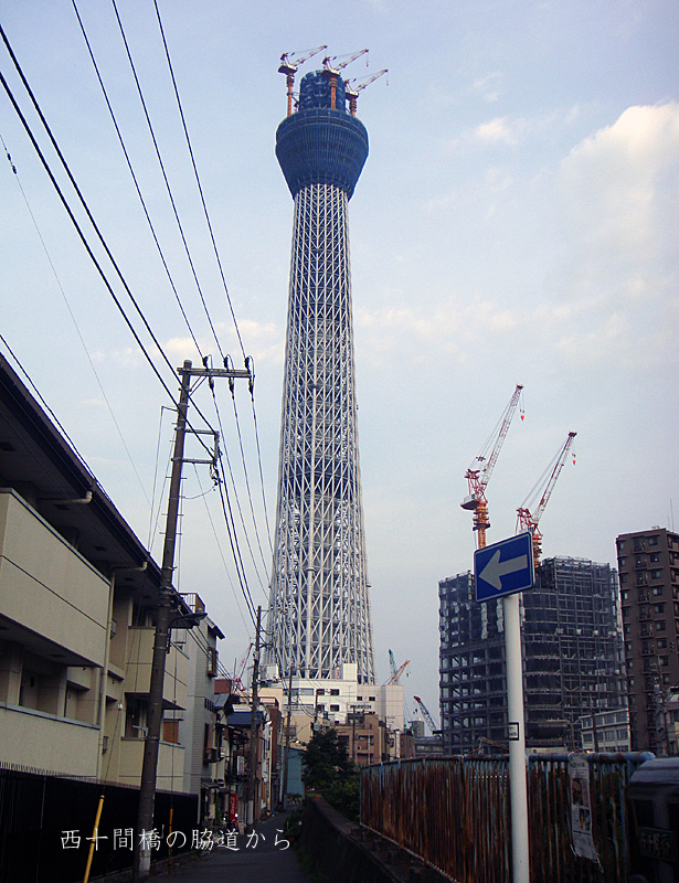 e0185645_3103952.jpg