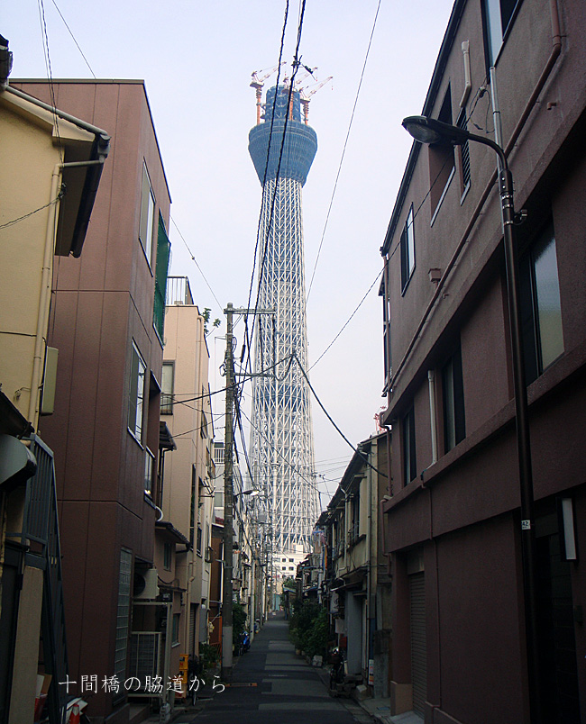 e0185645_3112075.jpg