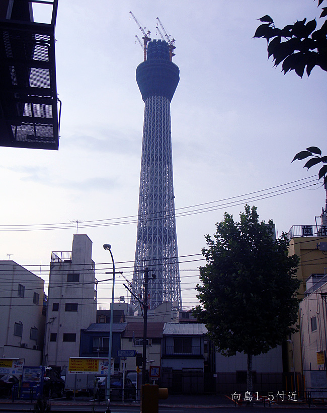 e0185645_3164185.jpg