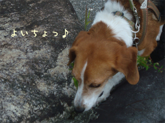 c0086746_1213261.jpg