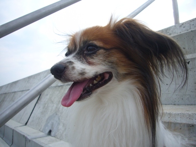e0100046_10233690.jpg