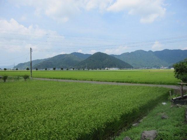a0146047_15501855.jpg