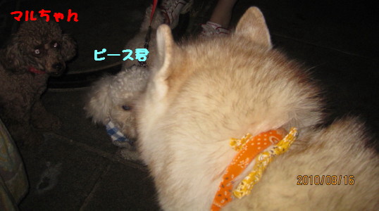 e0121548_20481981.jpg