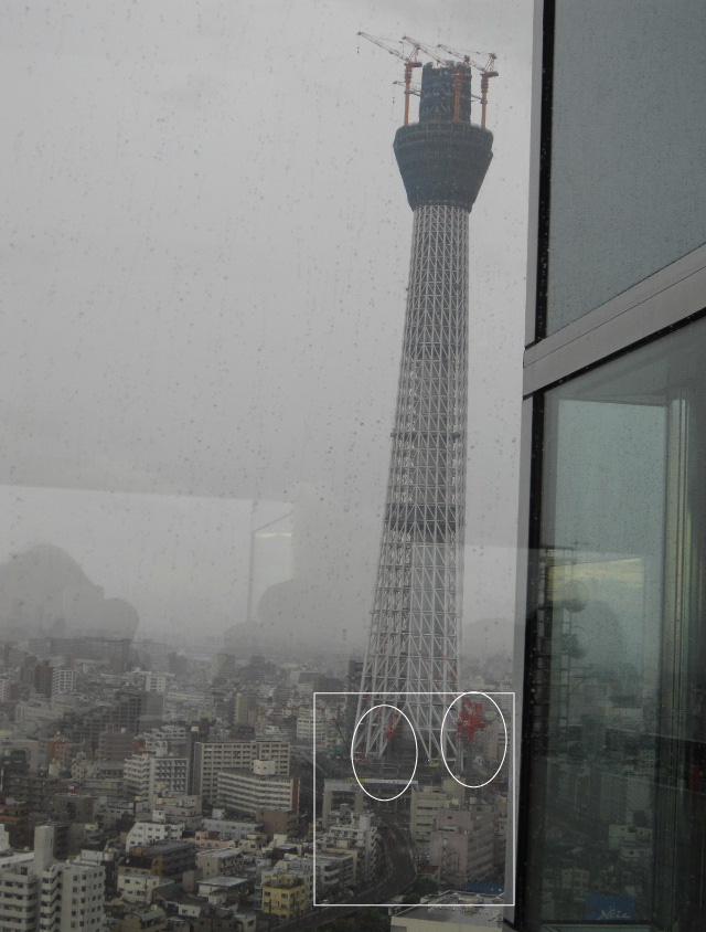 d0063149_1650815.jpg